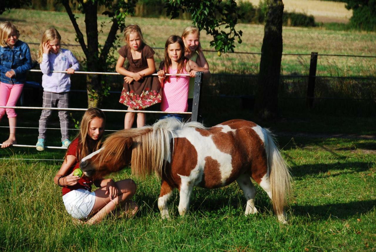 Ferienhof Blunck Wangels Buitenkant foto